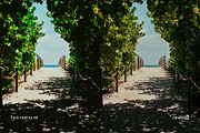 Fuji Fortia SP, a Preset Add-On by colorituals (Thumbnail 8 of 8)