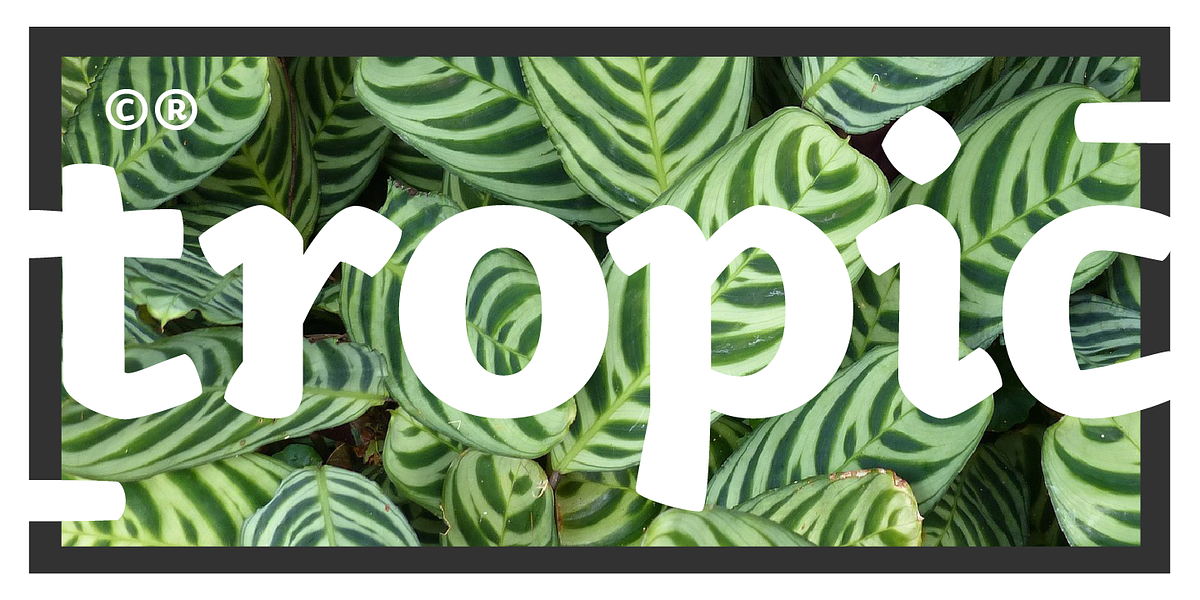 Kamado, a Sans Serif Font by Hashtag Type (Photo 5 of 9)