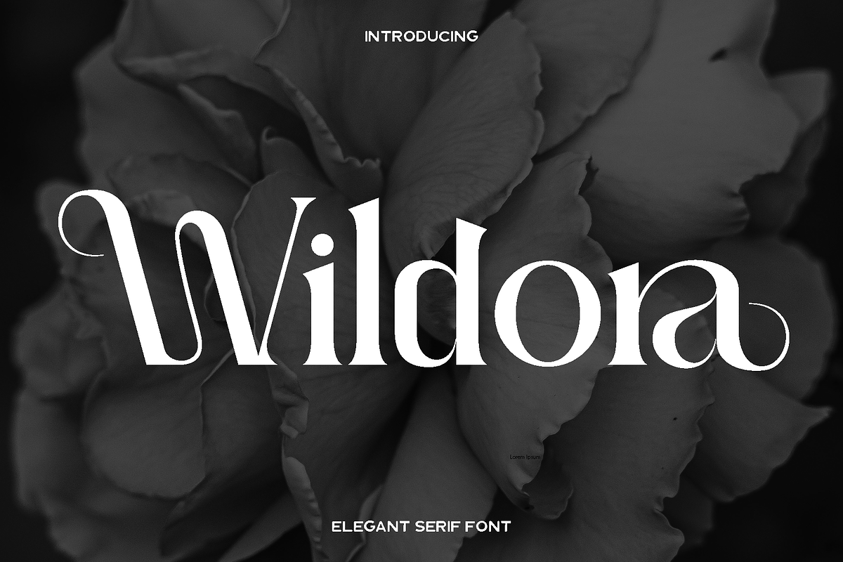 Wildora - Elegant Modern Serif, a Serif Font by Luna Shop (Photo 1 of 6)