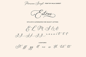 Parisian Vintage Calligraphy Script