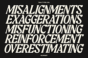 TAN-SUNSET, a Serif Font by TanType (Thumbnail 7 of 11)
