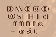 Raffas, a Sans Serif Font by Flawless And Co (Thumbnail 8 of 10)