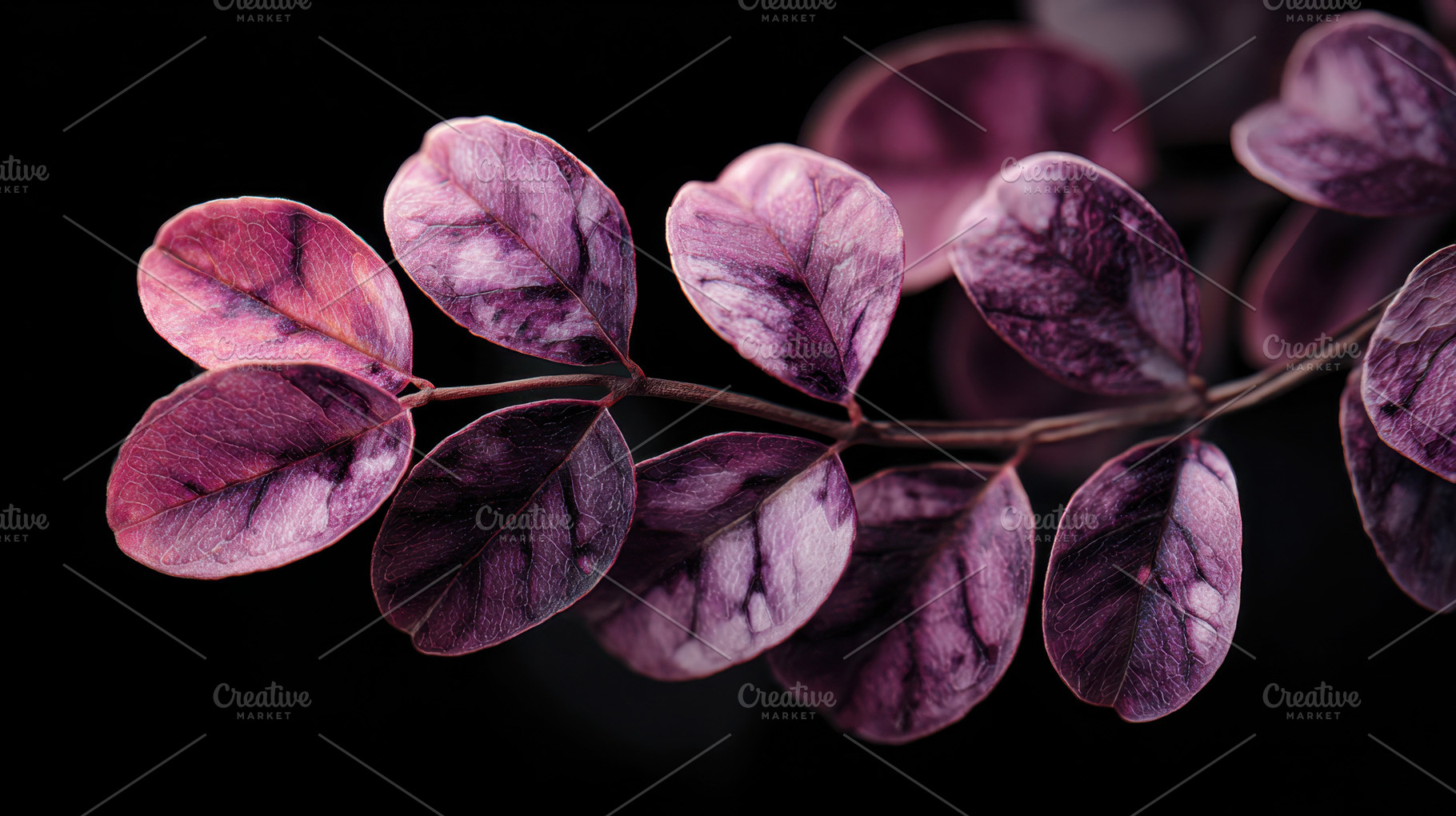 Purple leaves with reflections, a Photo by Beautiful things