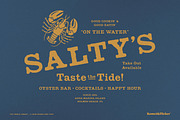 The French Library, a Serif Font by Komet & Flicker (Thumbnail 3 of 14)