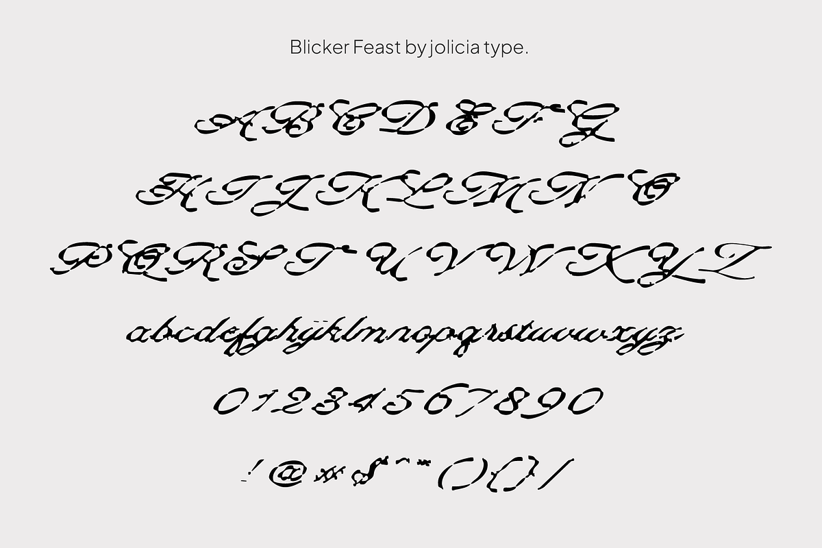 Blicker Feast | Dirty Script Font, a Script Font by Jolicia Type (Photo 9 of 11)