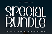 Special Bundle, a Sans Serif Font by FreshTypeINK (Thumbnail 1 of 7)