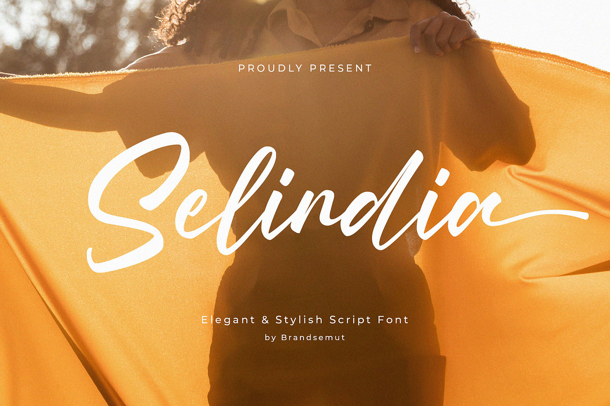 Selindia – Elegant Script Font, a Handwritten Font by BrandSemut (Photo 1 of 11)