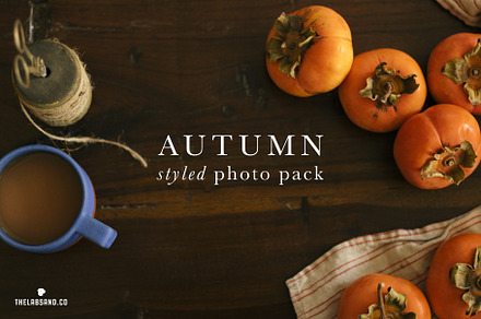 Autumn Styled Photo Pack (4 photos)