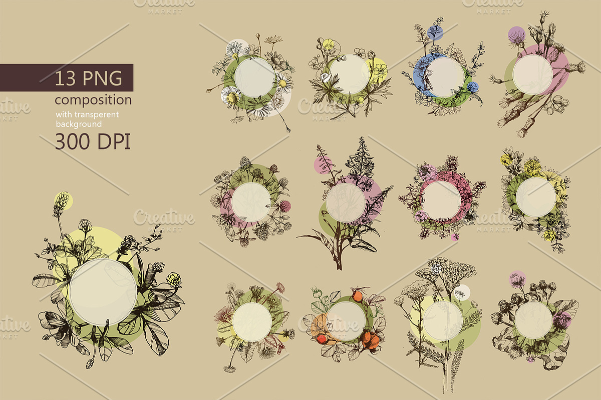 Vector HERBS, a Healthcare Illustration by Izobova (Photo 4 of 4)