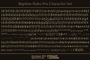 Bigelow Rules Pro, a Serif Font by Stiggy & Sands (Thumbnail 5 of 5)