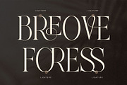 Avelire-modern ligature, a Serif Font by ToniStudio (Thumbnail 9 of 11)