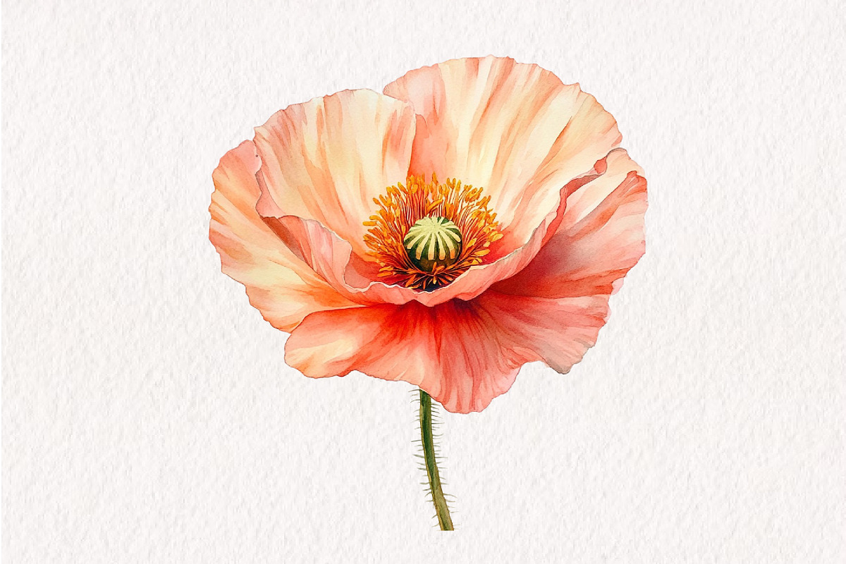 Watercolor Vivid Floral Collection, an Illustration by CreationArt (Photo 9 of 10)