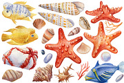Seashells and fish, watercolor, an Animal Illustration by Hanna Hryharenka (Thumbnail 19 of 20)