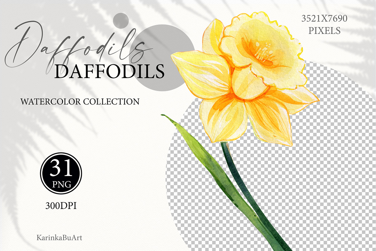 Watercolor daffodils clipart set, an Object Graphic by KarinkaBU (Photo 4 of 6)
