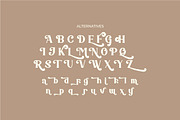 Famous Cool gorgeous typefaces, a Serif Font by suhadidesign (Thumbnail 19 of 19)