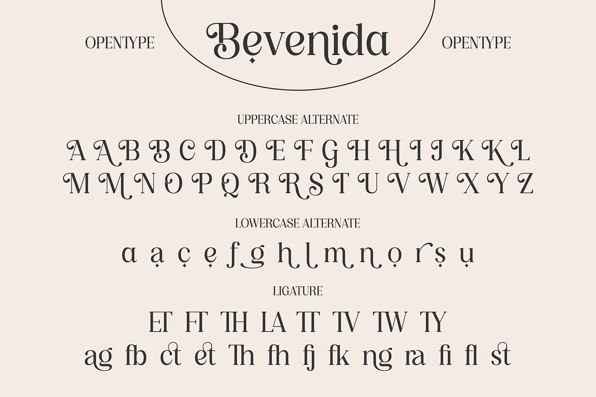 Bevenida - A Modern Stylish Serif, a Serif Font by agnyhasyastudio (Photo 11 of 12)