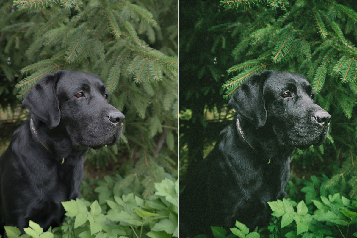 5 VINTAGE LIGHTROOM PRESETS preview 6