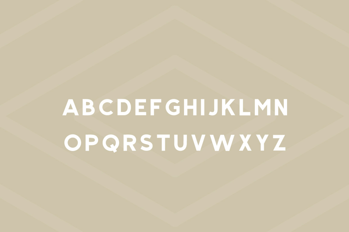 Salmon - Modern Sans Serif preview 2