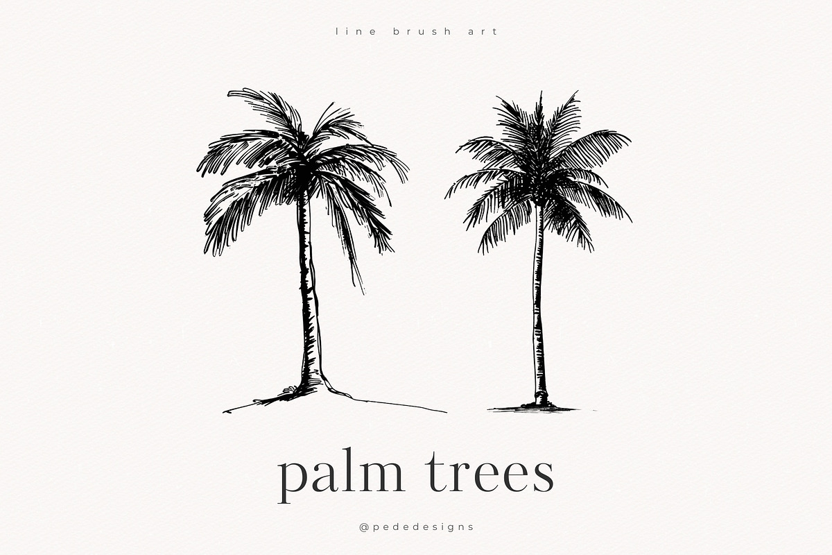 Palm Trees, an Object Illustration by PeDe Designs (Photo 5 of 9)