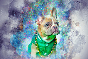 Colored Pet Portrait PS Action