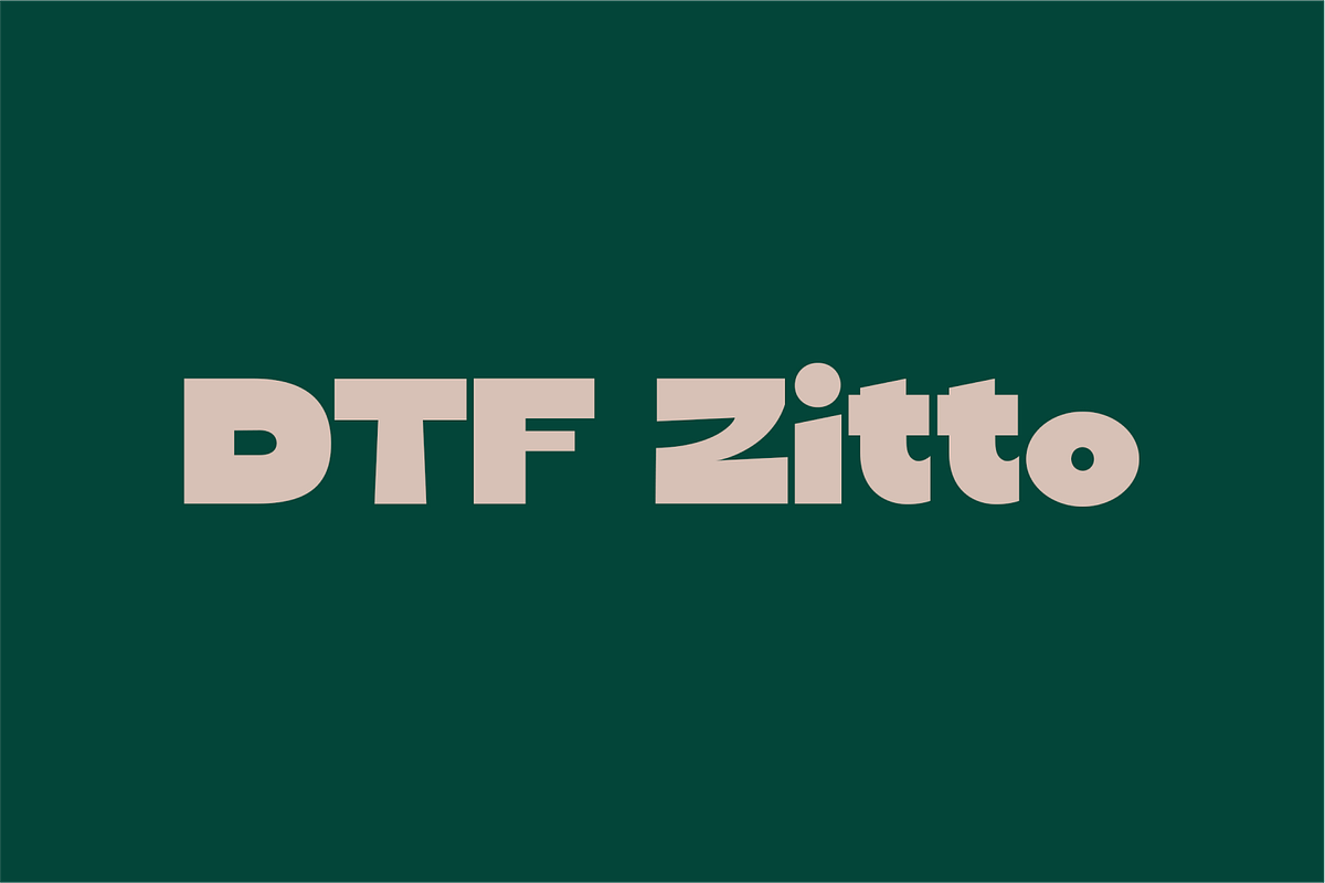 DTF Zitto, a Sans Serif Font by vladderkach57 (Photo 1 of 4)