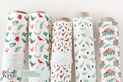 Christmas Teal Clipart Cardinal Bird, an Illustration by Ksenia Shmakova (Thumbnail 14 of 16)