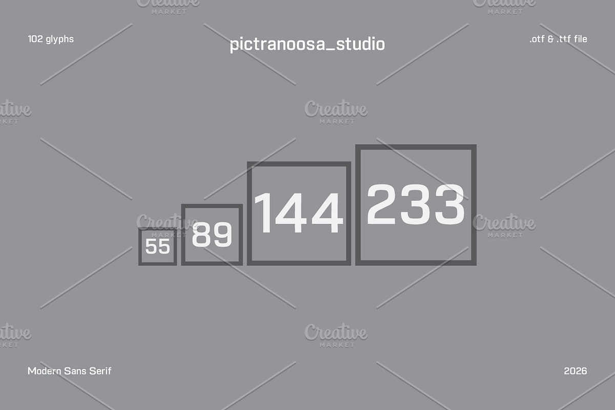 Nityaa Sans Serif, a Sans Serif Font by pictranoosa_studio (Photo 4 of 6)