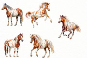 Spring Horse Clipart, an Illustration by Designworld (Thumbnail 6 of 7)