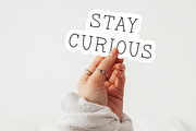 Snapdragon Serif Font, a Handwritten Font by Beck McCormick (Thumbnail 6 of 10)