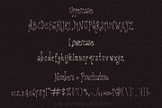 Plumdrunk Slender Display Font, a Handwritten Font by The October Creative (Thumbnail 2 of 8)