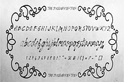 The Cranberries 3 Font, a Script Font by OnlyTheOriginaLs (Thumbnail 9 of 9)