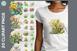 Cactus Succulent Illustration Bundle
