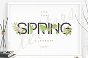 Spring alphabet letters, a Symbol Font by Polar Vectors (Thumbnail 1 of 23)