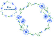 Blue cornflowers bundle, a Decorative Illustration by EshaStudio (Thumbnail 7 of 15)