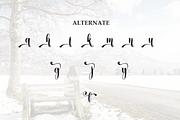 Winter Charming | Script Font, a Handwritten Font by Scratchones (Thumbnail 8 of 9)