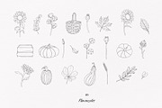 AUTUMN|Botanical line art collection, a Seasonal Illustration by Navenzeles (Thumbnail 14 of 16)