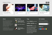 GoMedia WordPress Theme, a WordPress Template by Theme Junkie (Thumbnail 2 of 4)