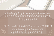 Journaling script handwritten font, a Script Font by bigmomentsdesign (Thumbnail 2 of 6)
