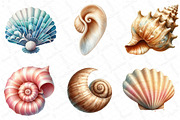 Watercolor Seashells Clipart, an Illustration by DreamPrint404 (Thumbnail 5 of 6)