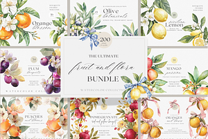 BUNDLE Watercolor Fruit and Flora, a Decorative Illustration by ThaismotaCreativeCo
