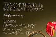 Delicately Stylish Handwritten Font, a Serif Font by stylishtype.co (Thumbnail 18 of 20)