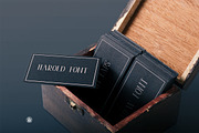 Harold, a Serif Font by Webvilla Studio (Thumbnail 4 of 7)
