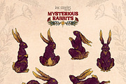 Mysterious Rabbits, an Animal Illustration by Ink Stories (Thumbnail 4 of 29)