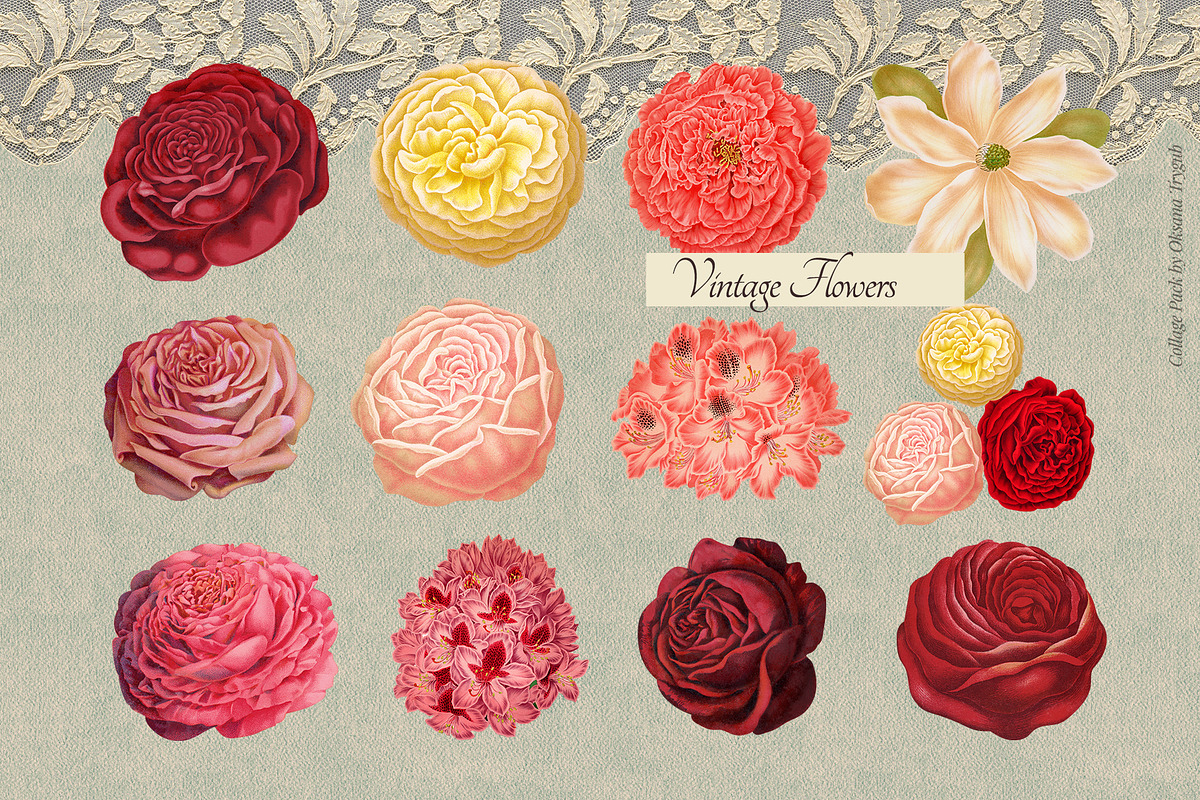 Vintage Museum Collage Elements Pack, an Object Graphic by Oksana Trygub (Photo 8 of 29)