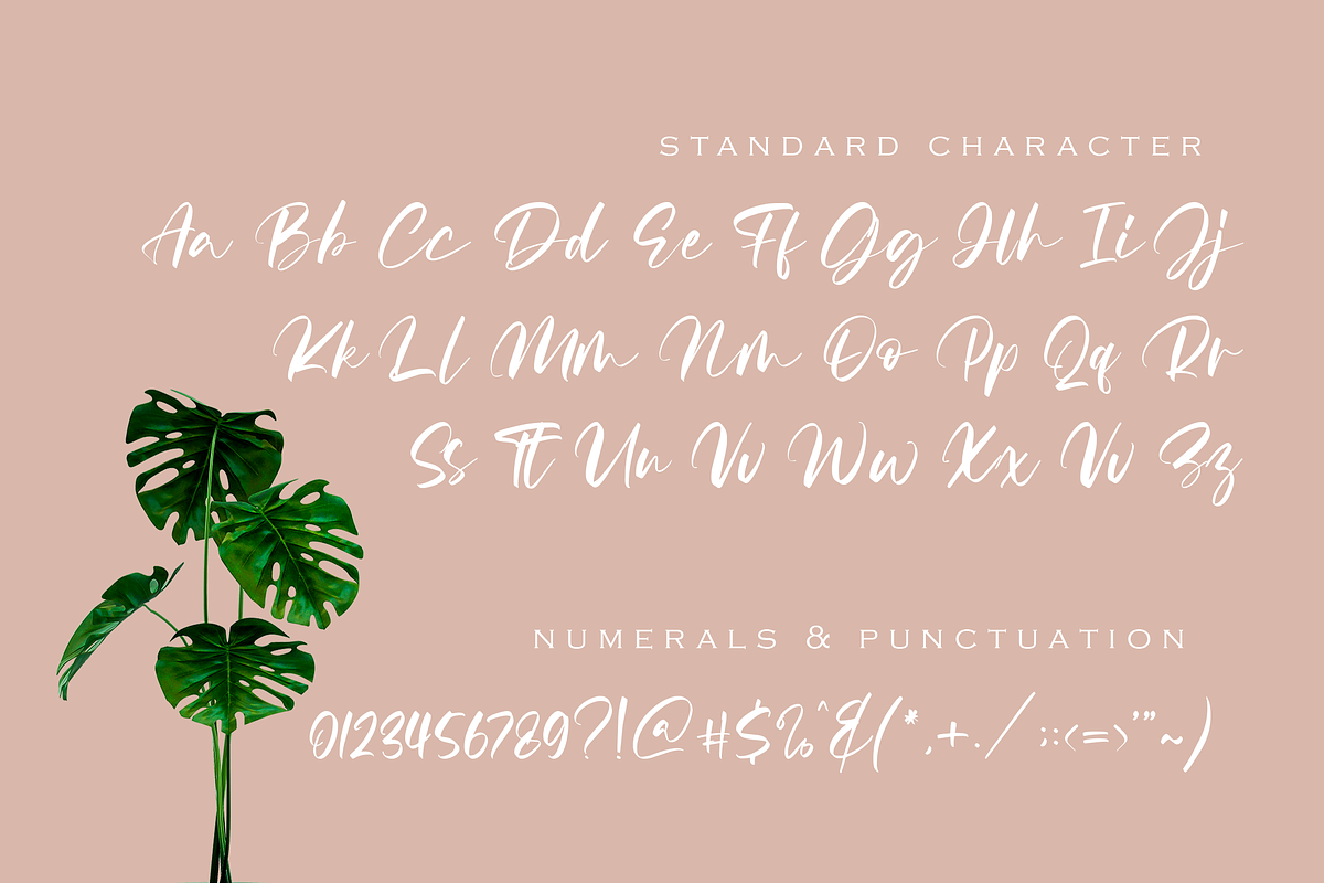 modern-calligraphy-font-a-script-font-by-graphue