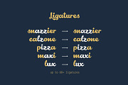 Lactosa, a Script Font by Nasir Udin (Thumbnail 8 of 9)