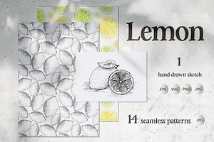 Lemon. Sketch and patterns