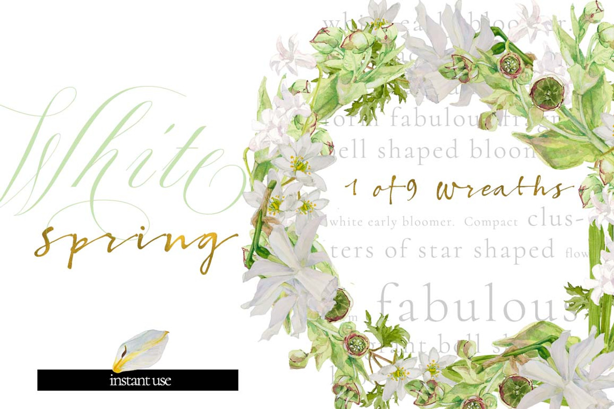 White Bouquets&Wreaths in watercolor, an Illustration by watercolorwild.graphics (Photo 5 of 14)