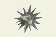 Succulent Halftones, a Texture Graphic by GhostlyPixels (Thumbnail 6 of 13)
