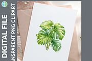 Houseplant Illustration Bundle, PNG, a Decorative Illustration by Enliven Designs (Thumbnail 6 of 8)